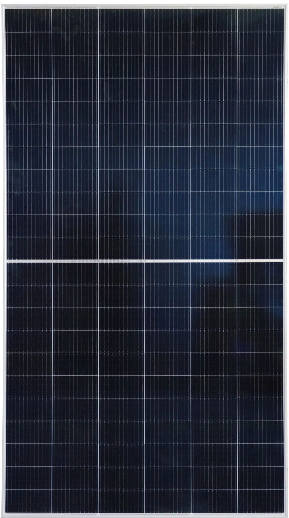 1647930105656966.jpg